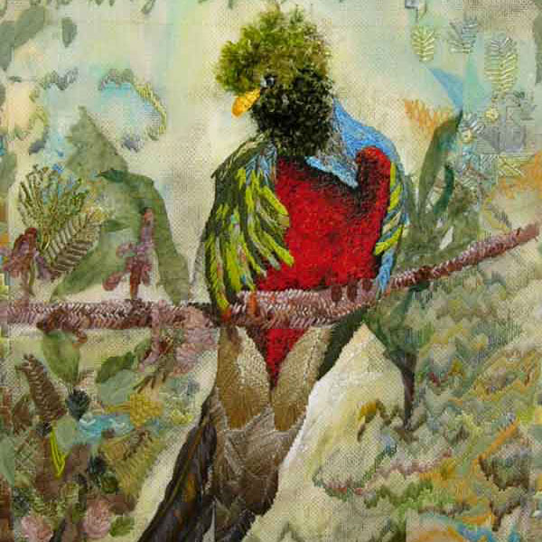 Projekte und Partnerschaften